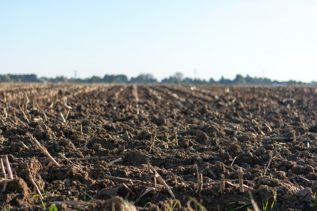 agricultural.jpg